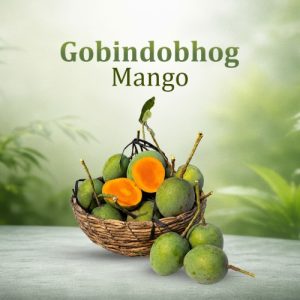 Gobindobhog Mango - 10 KG